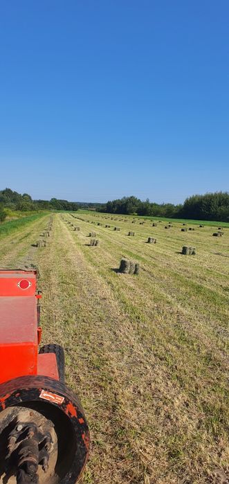 Siano z drugiego pokosu