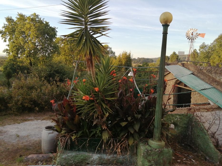 Terreno rústico com lagar e adega, por apartamento com vista de mar.