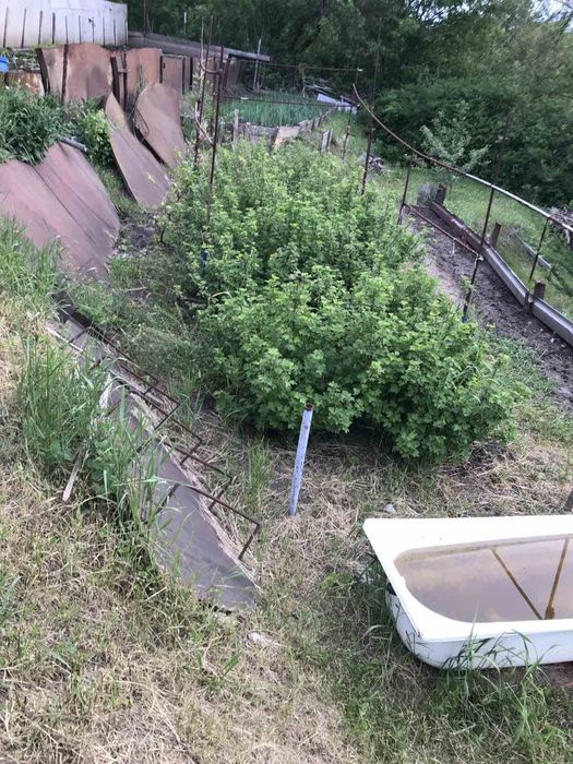 Продам  дачу біля селища Привільне Запорізького району