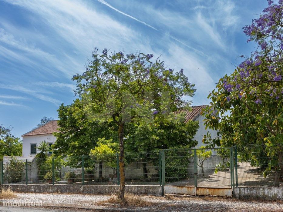 Moradia com espaço exterior em lote de 700 m²