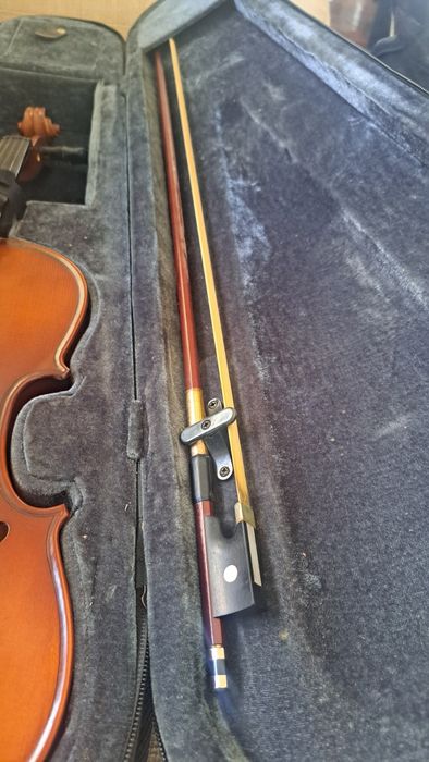 Violino 3/4 Carlos Giordano