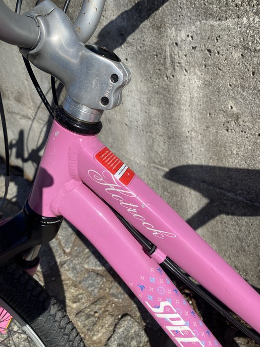 Bicicleta Specialized Hotrock roda20