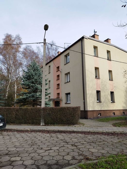 Kawalerka do wynajęcia- Bez pośredników