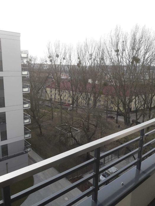 Zdjęcie 8