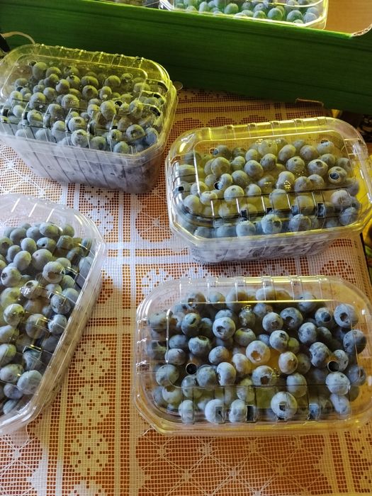 Dżemy, musy, soki malinowe z własnej plantacji