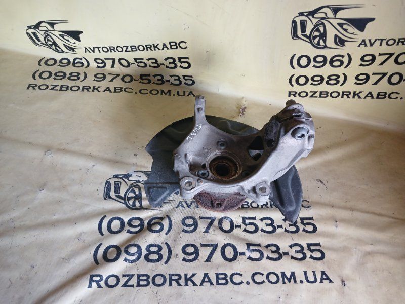 Цапфа/поворотный кулак Volkswagen Tiguan 2019 передние передние левая