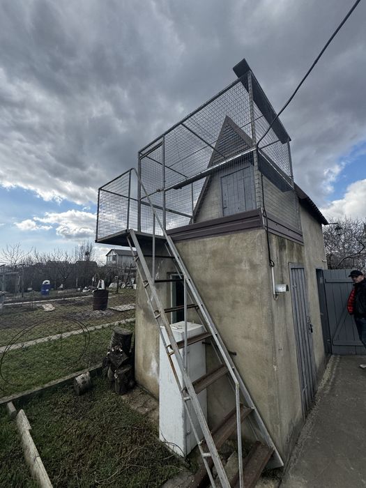 Продам дачу в пригороде Черноморска