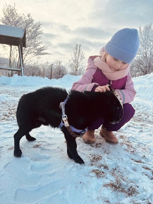 Miniaturowy Tolek szuka domu