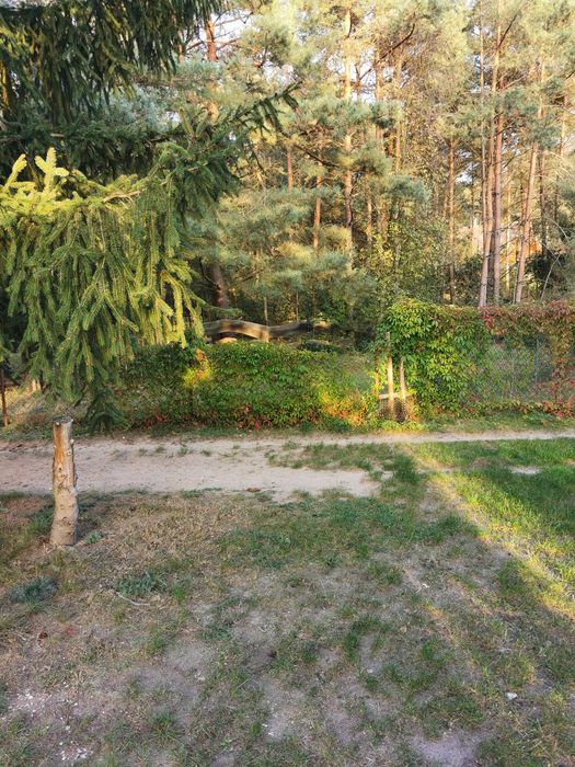 domki letniskowe do wynajecia nad jeziorami