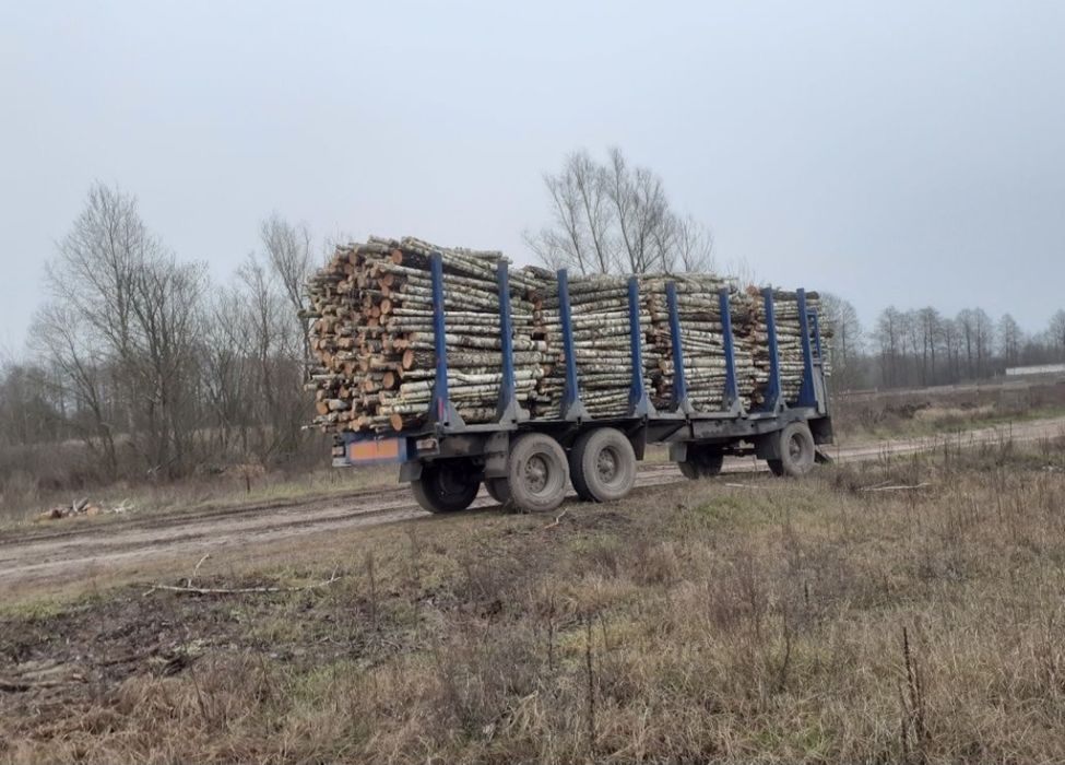 Якісні дрова з доставкою за мінімальною ціною, без передоплати. Щільна укладка. Оптом та в роздріб 33-35-40 см
