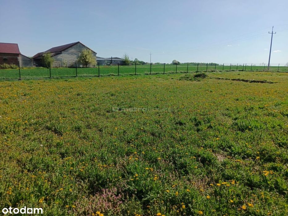 Działka na sprzedaż, Żelków-Kolonia - Widok 6