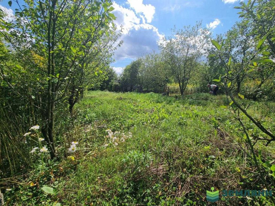 Продається ДАЧА 5 сот Вовчинці, з будиночком (5)