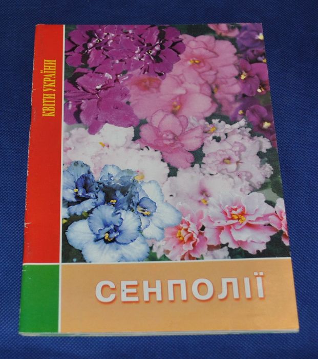 сенполия сенполії