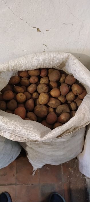 Продам корм для тварин