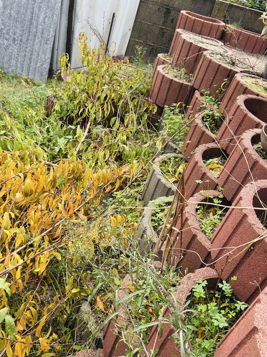 Artebel Planters64752340110850121