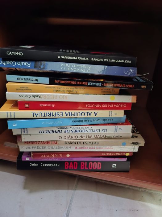 Lote de livros – vários temas, ótimo estado