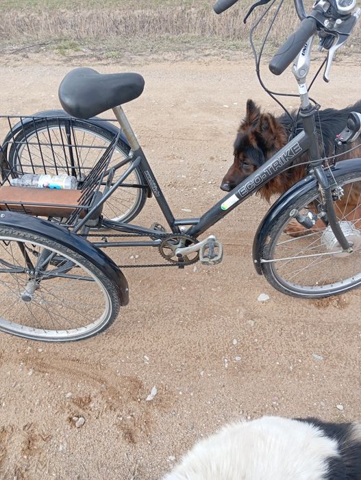 Rower trzykołowy elektyczny.