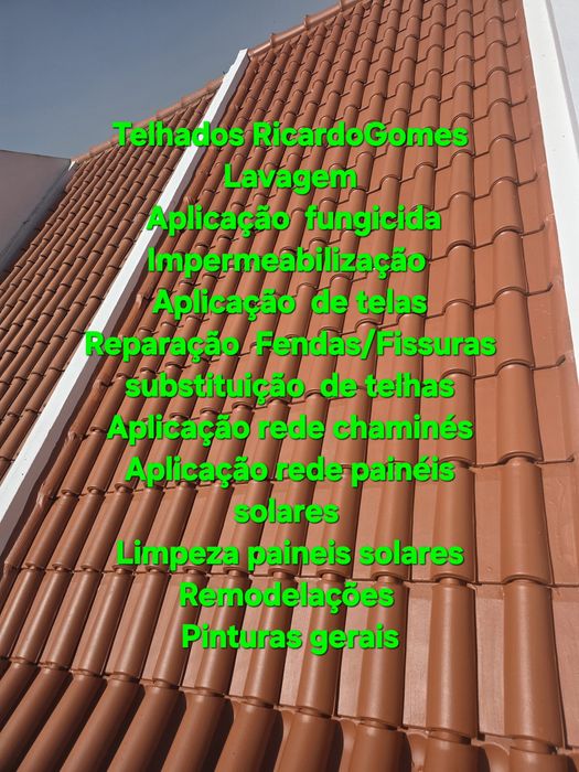 Limpeza de Telhados+Hidrofugação/Limp.Pavimentos/Pinturas/Canalização,