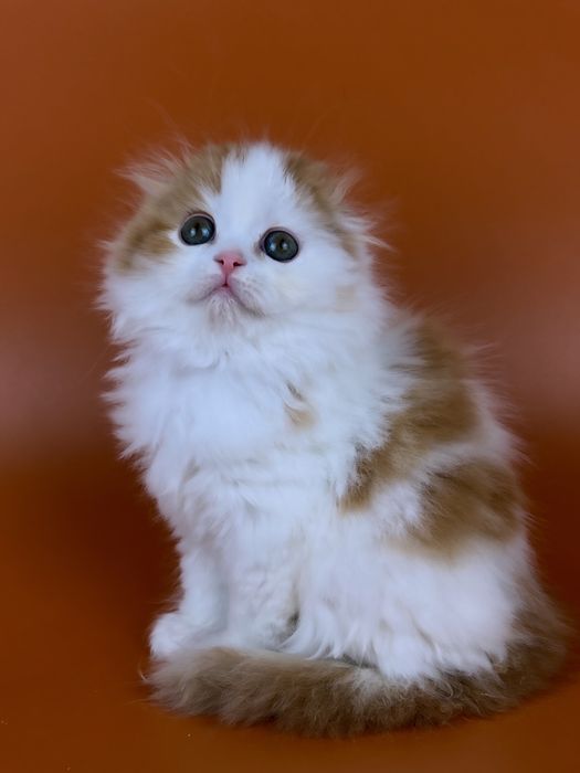 Чудовий хлопчик.