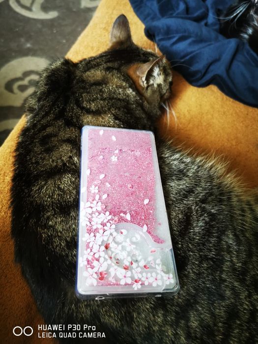 Etui z pływającymi drobinkami do Huawei MATE30 PRO