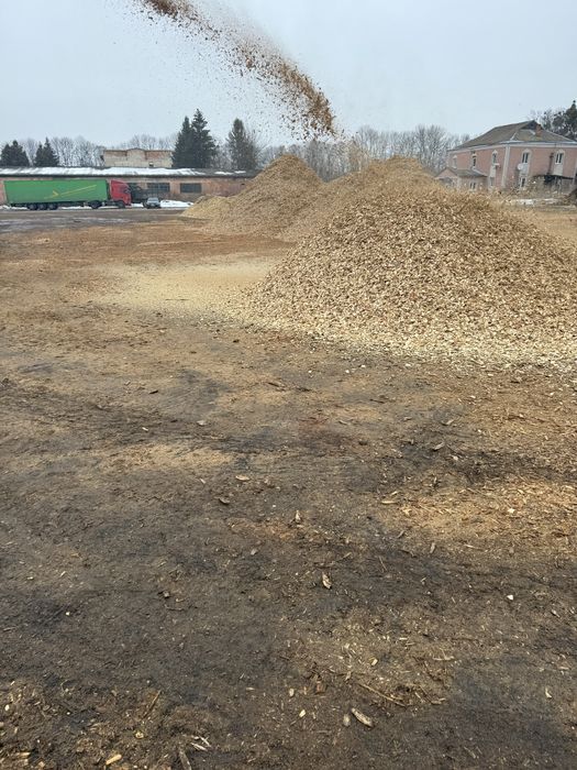 Щепа (тріска) твердих порід (граб, дуб, ясен.) не розліснення!