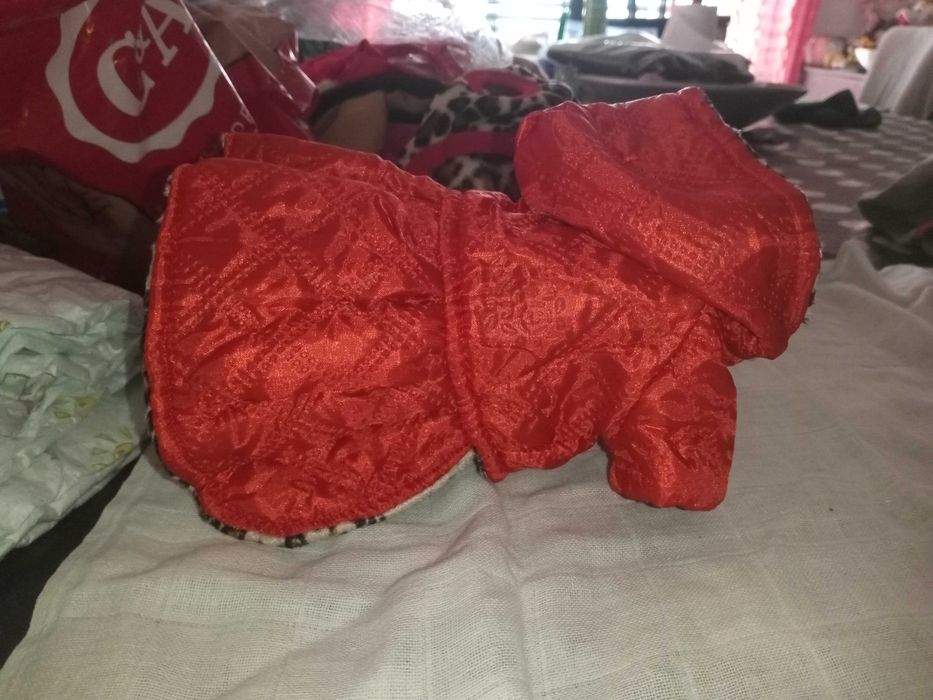 Roupinhas cães pequenos novas