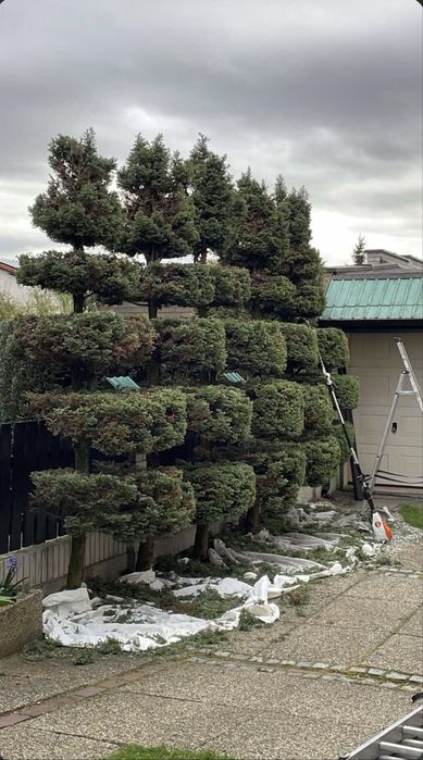 WYCINKA DRZEW, przycinanie żywopłotów, koszenie