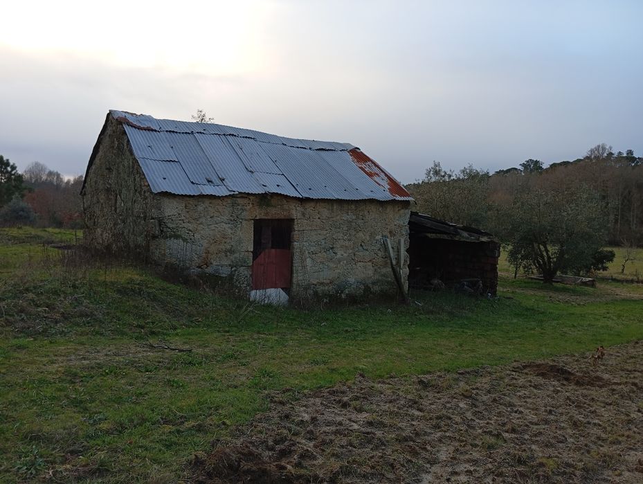 Terreno Agrícola - Vilar Seco