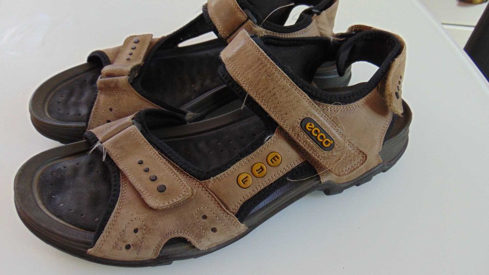 Ecco fym deals