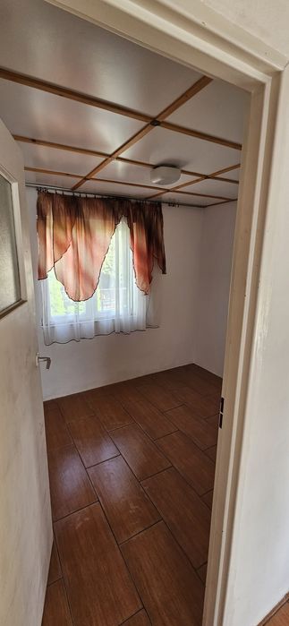Działka ROD Borówno Nekla