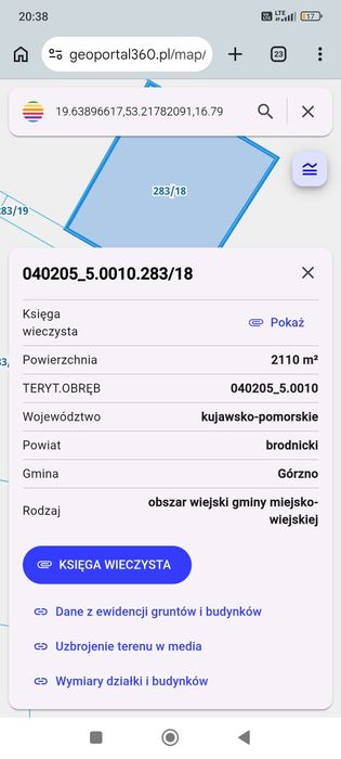 Zdjęcie 7