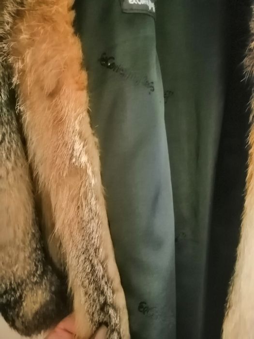 Casaco de peles de raposa do Canadá  verdadeiro