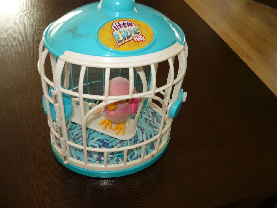 Zabawka ptaszek  w klatce