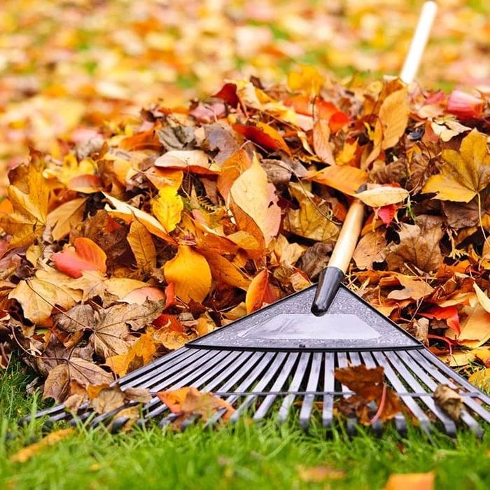 GRATY z Chaty wywóz Gruzu Gałęzi oraz Śmieci Zalegające PORZĄDKI