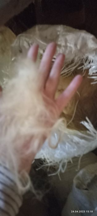 Продам вовну, шерсть з овець, не миту .