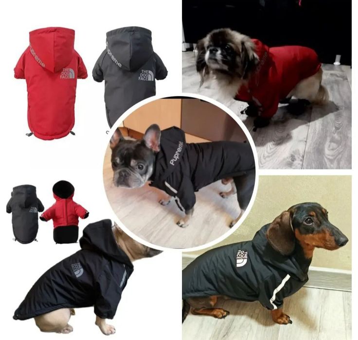 Одежда для животных