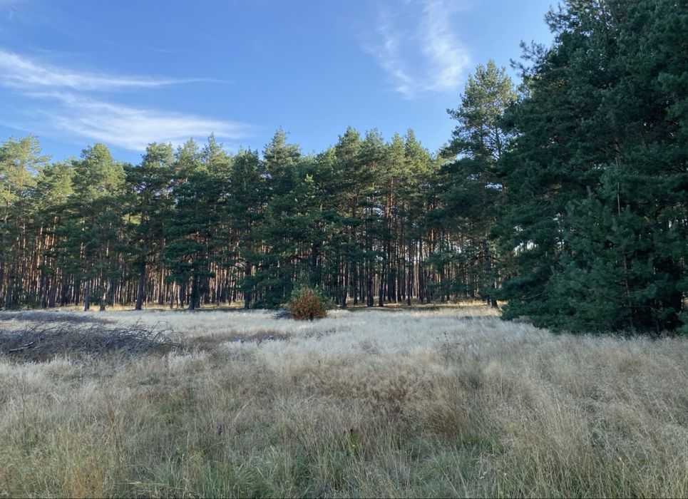 Działka – Zamość, ul. Piękna