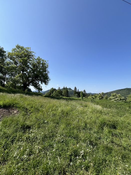 Продам ділянку в горах з гарним краєвидом