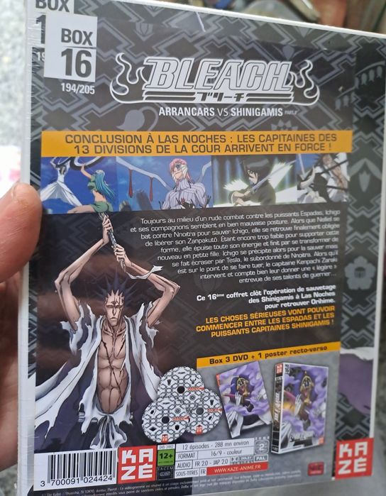 Desenhos animados Bleach