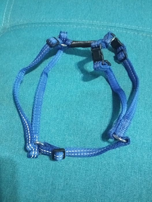 Продам шлейку для собак,100 гривен