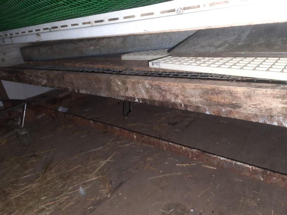 Брудер для птиці.