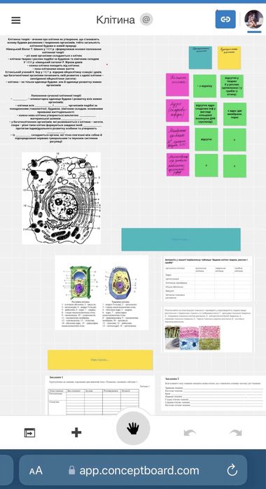 Репетитор біологія хімія фізика