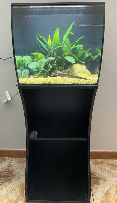 Akwarium Fluval Flex 57l plus szafka