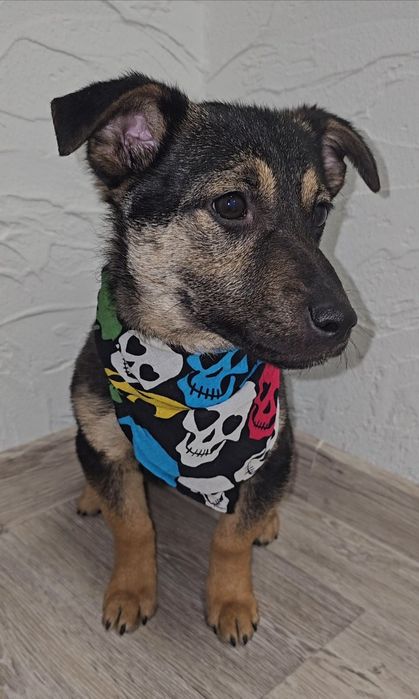 Хлопчик в добрі ручки!