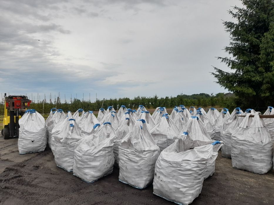 Brykiet torfowy - zamiennik węgla, ekologiczny transport