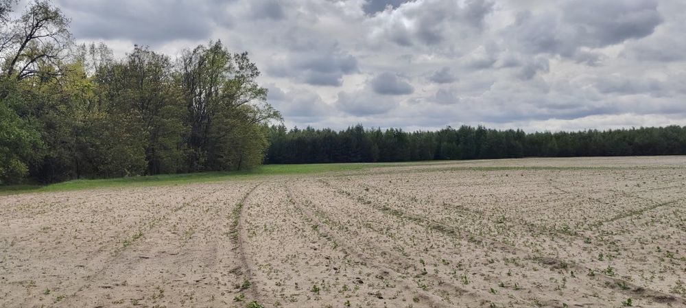 Земельна ділянка 27 га! Андріївка.