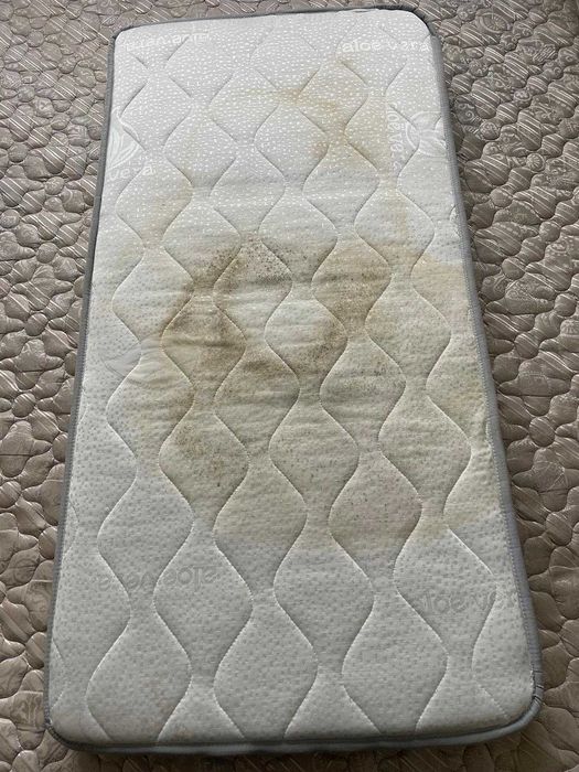 Limpeza profissional de sofá