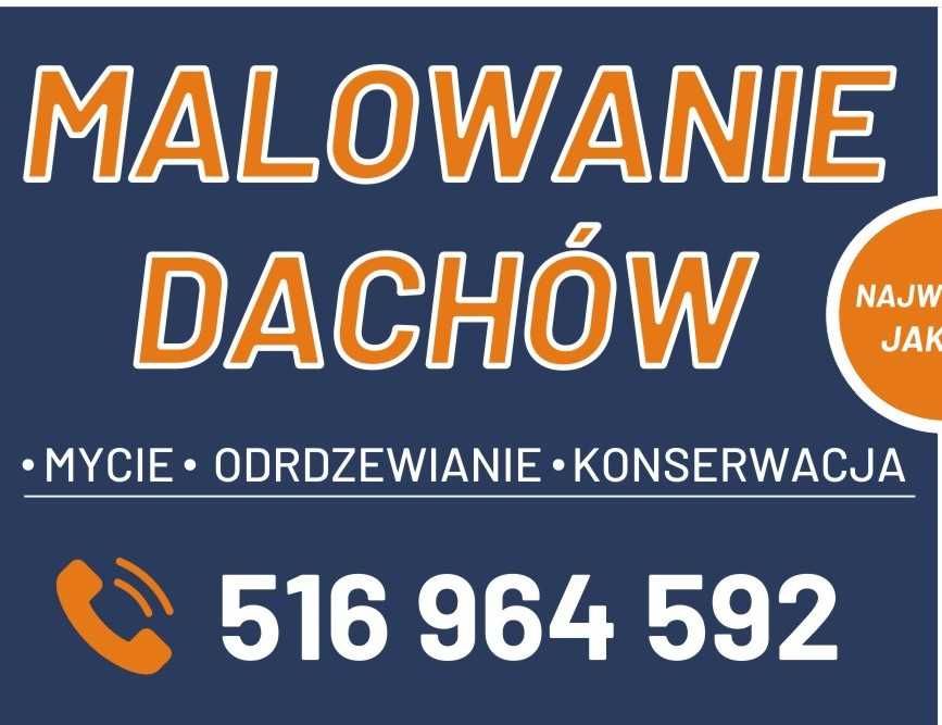Malowanie i mycie dachów - rynien