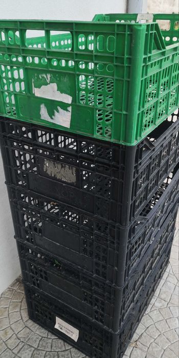 5 caixotes 60 X 40 X 21 cm