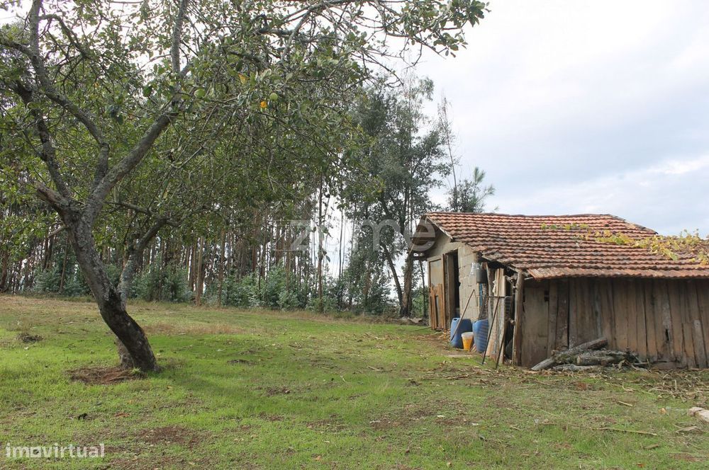 Terreno Misto em Lugar de Moreira _ Melres | Gondomar